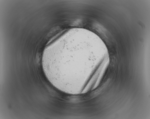X0000113240273200910081304
