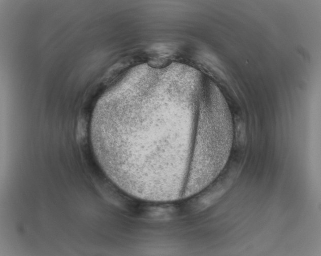 X0000113240274200910081304