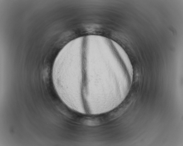 X0000113240275200910081304