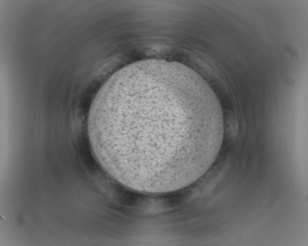 X0000113240276200910081304