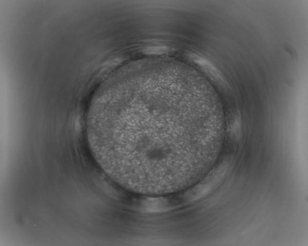 X0000113240277200910081304