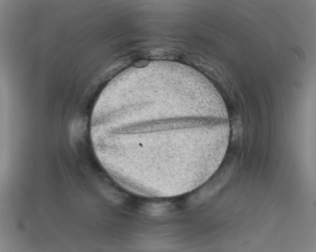 X0000113240278200910081304