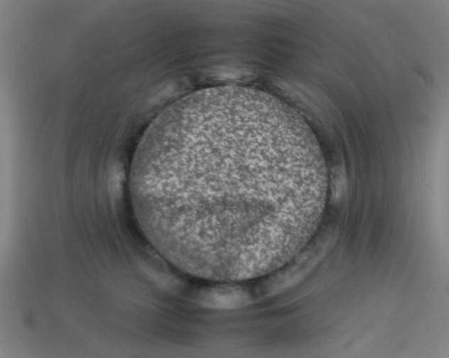 X0000113240279200910081304