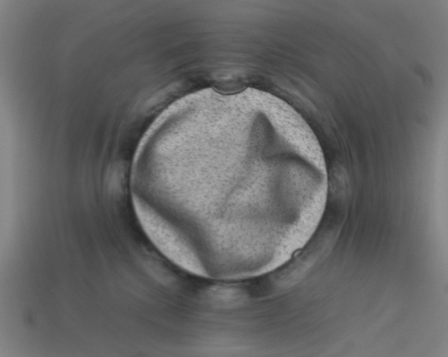 X0000113240280200910081304