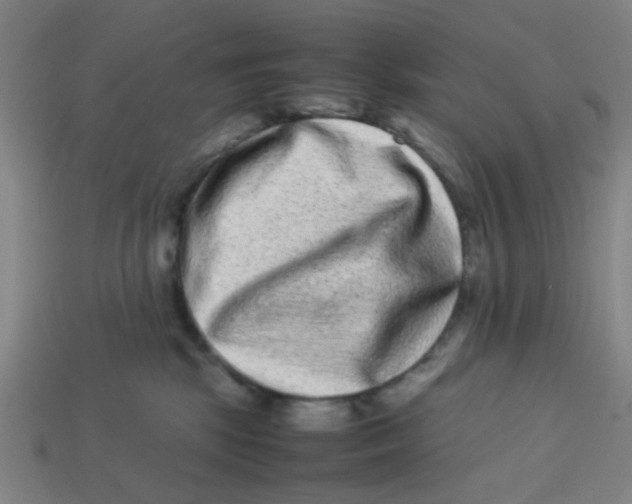 X0000113240281200910081304
