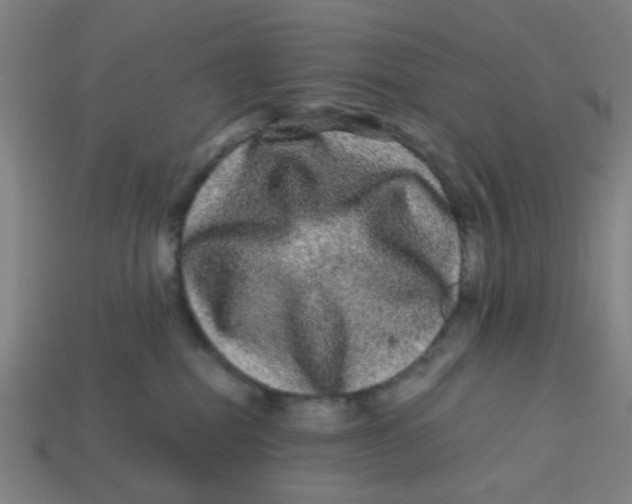 X0000113240282200910081304