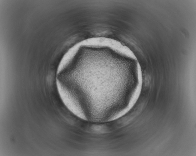 X0000113240283200910081304