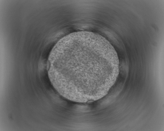 X0000113240284200910081304
