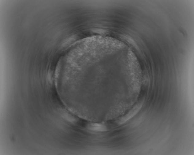 X0000113240285200910081304