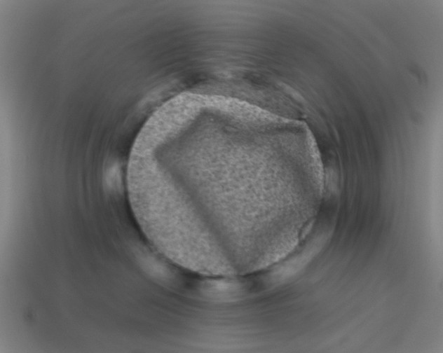 X0000113240286200910081304