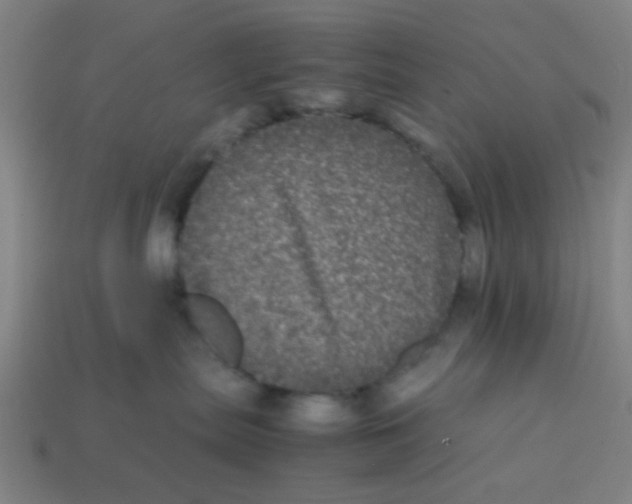 X0000113240287200910081304