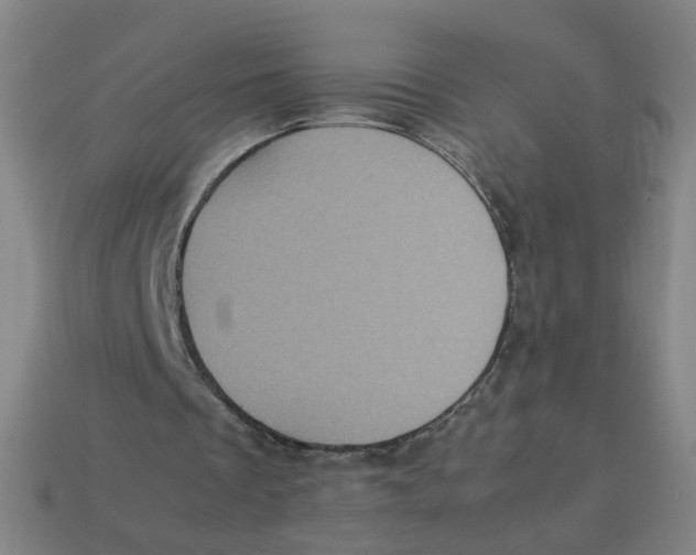 X0000113240289200910081304