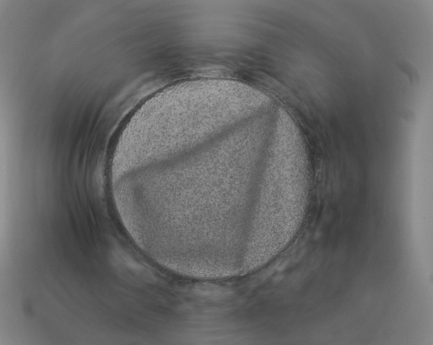 X0000113240290200910081304