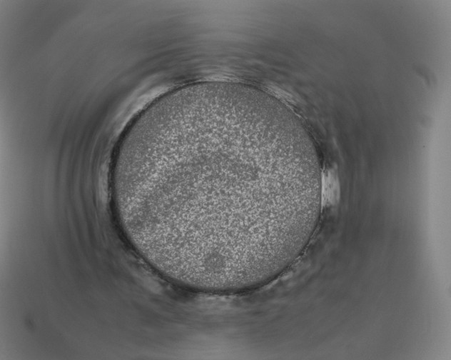 X0000113240291200910081304