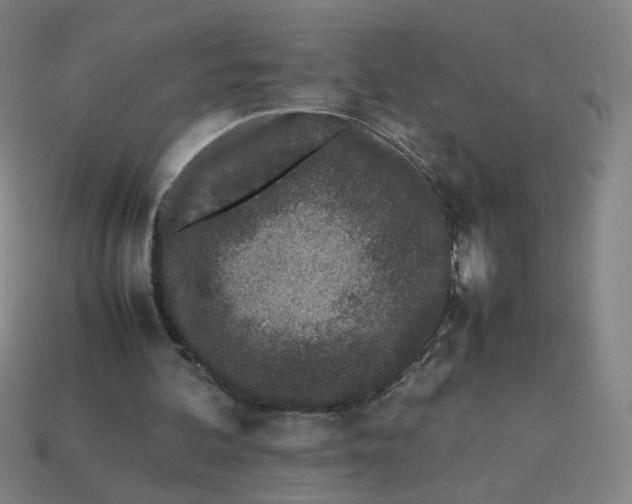 X0000113240292200910081303