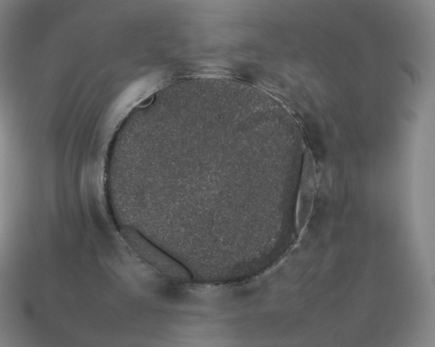 X0000113240293200910081303