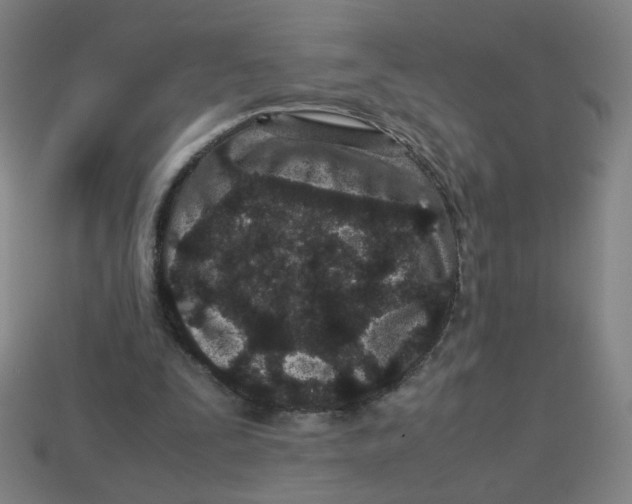 X0000113240295200910081303