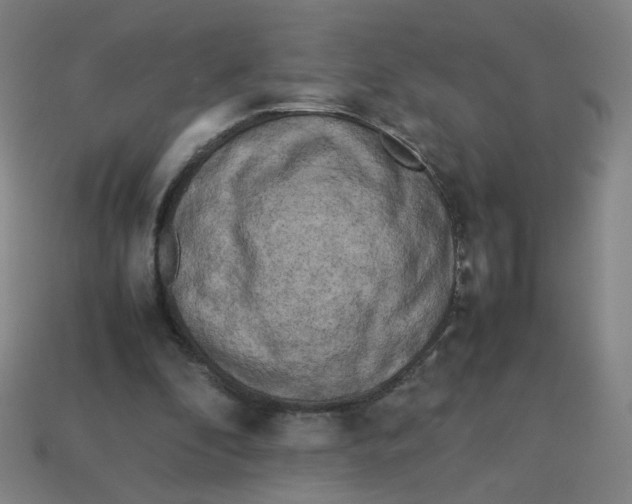 X0000113240296200910081303