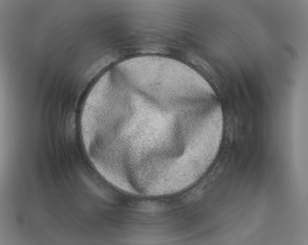 X0000113240298200910081303