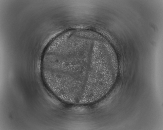 X0000113240299200910081303