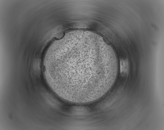 X0000113240300200910081303