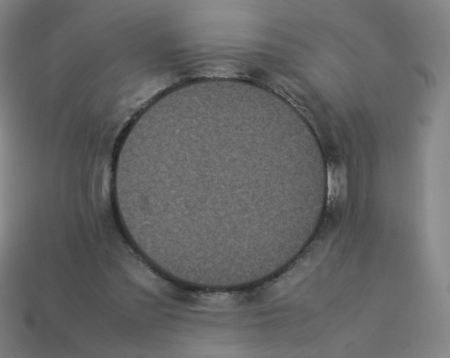 X0000113240301200910081303