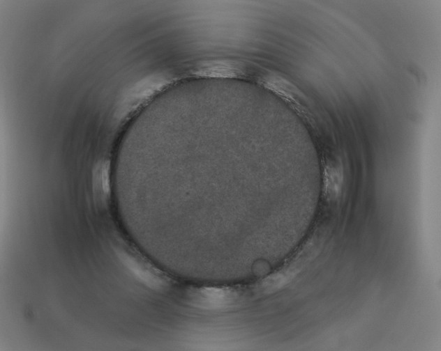 X0000113240302200910081303