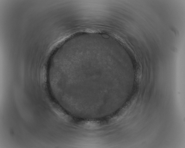 X0000113240303200910081303