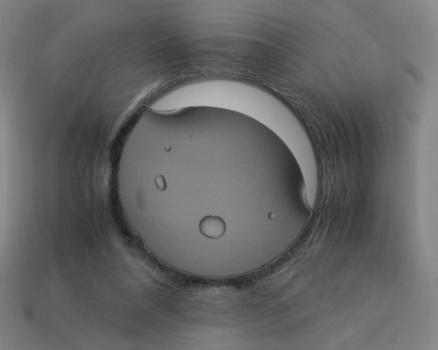 X0000113240304200910081303