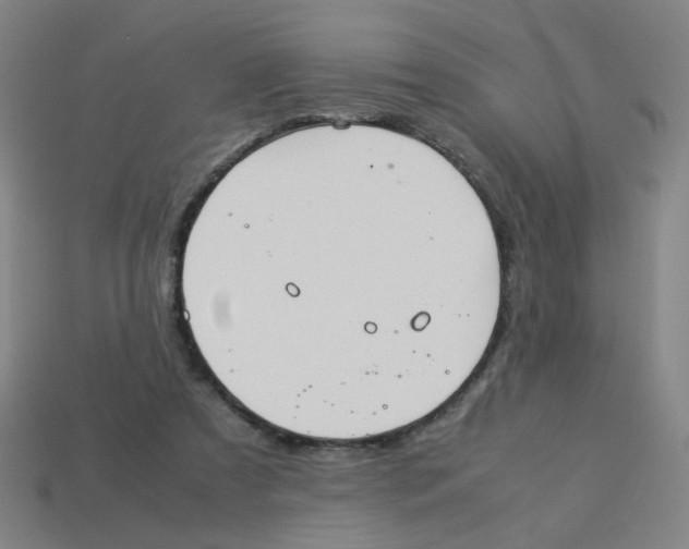 X0000113240305200910081303