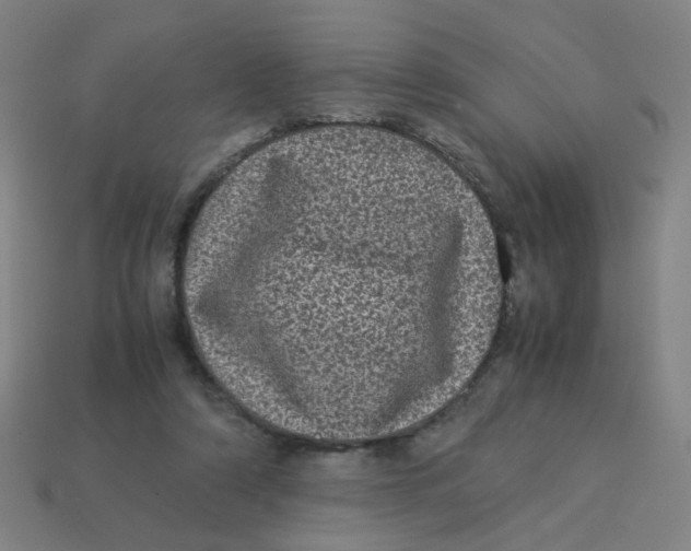 X0000113240306200910081303