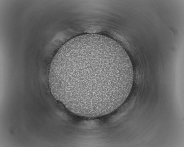 X0000113240307200910081303