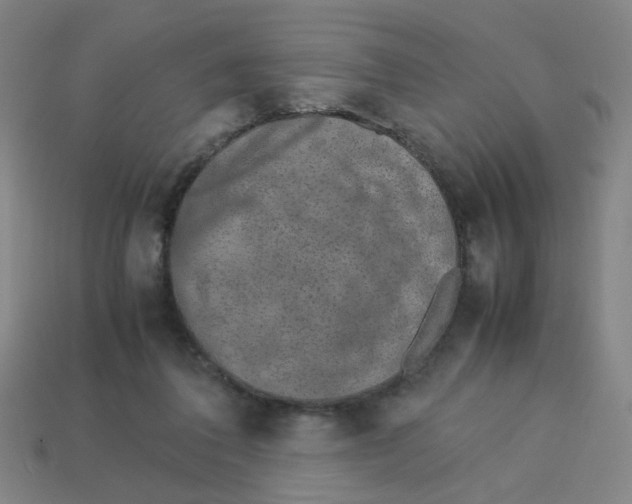 X0000113240308200910081303
