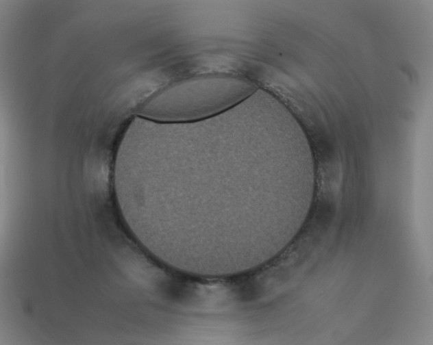 X0000113240309200910081303