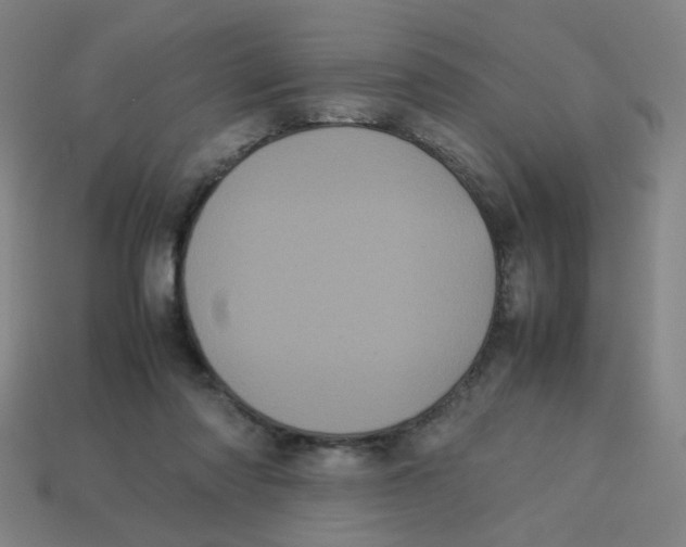 X0000113240310200910081303
