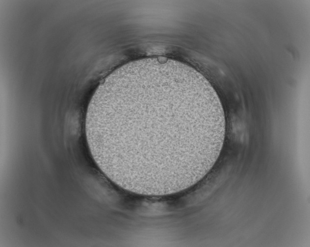 X0000113240311200910081303
