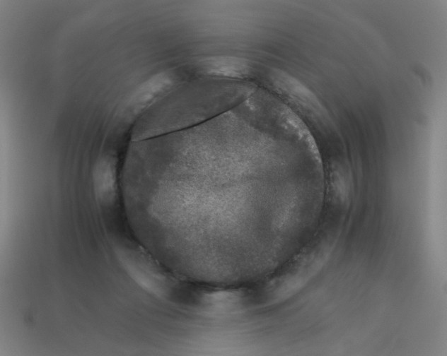 X0000113240312200910081303