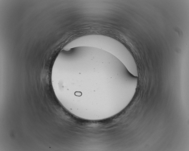 X0000113240313200910081303