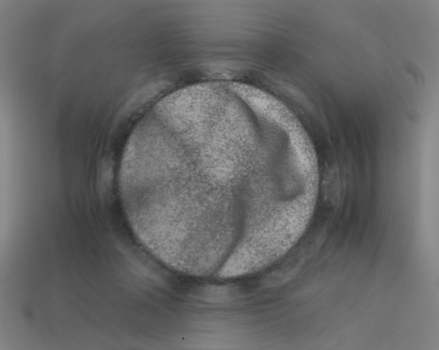 X0000113240314200910081303