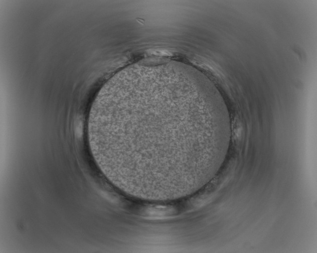 X0000113240315200910081303