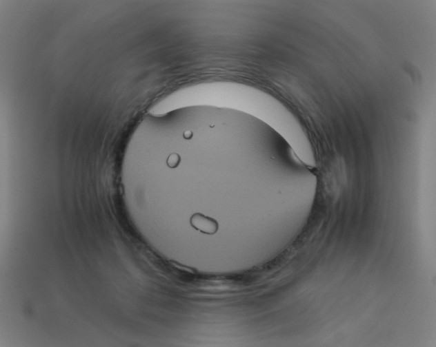 X0000113240316200910081303