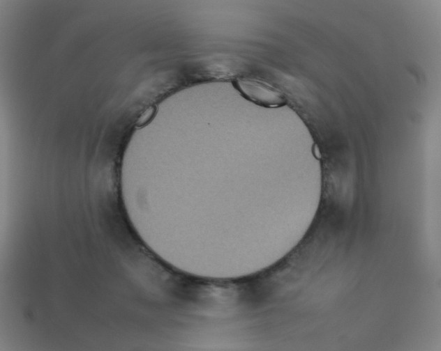 X0000113240317200910081303