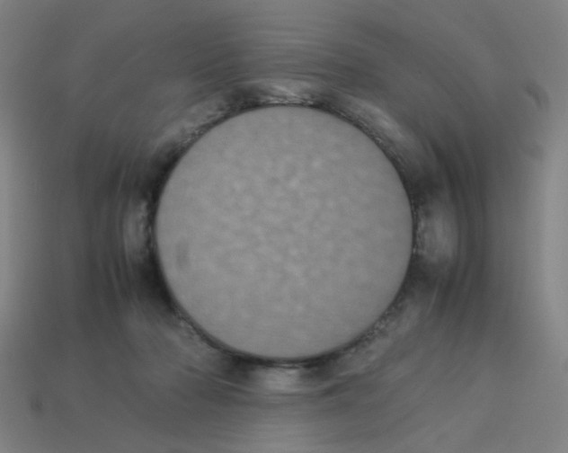 X0000113240318200910081303