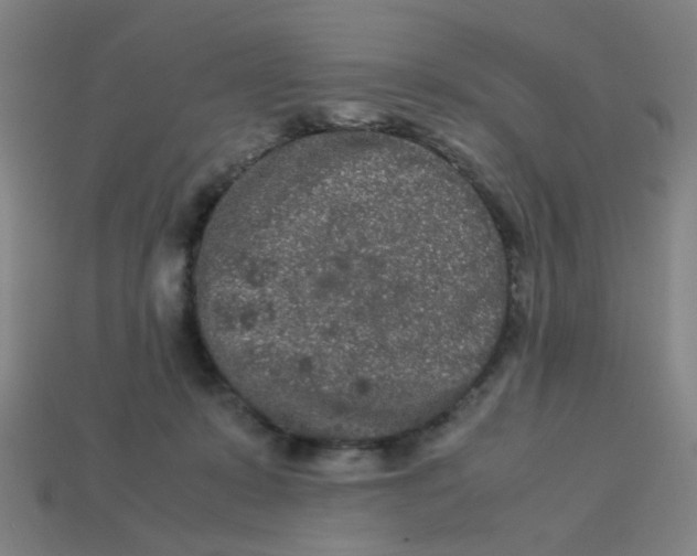 X0000113240319200910081303