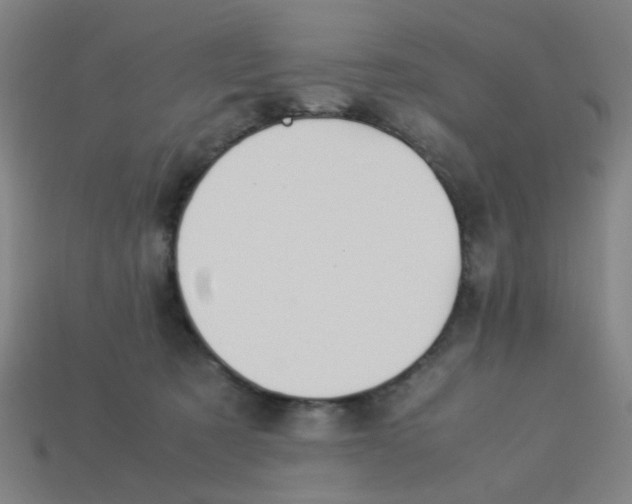 X0000113240321200910081303