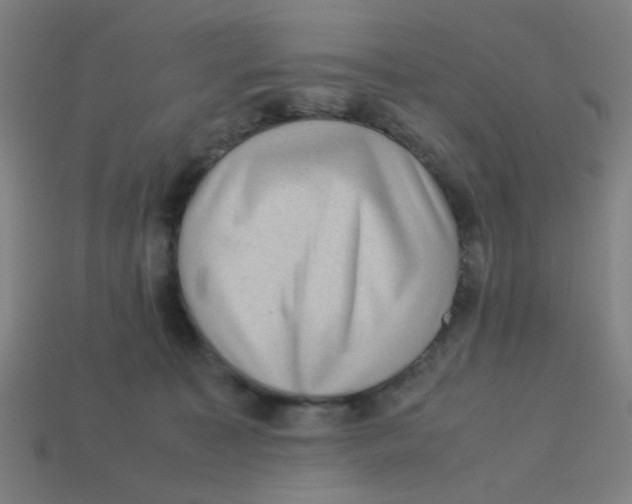 X0000113240323200910081303