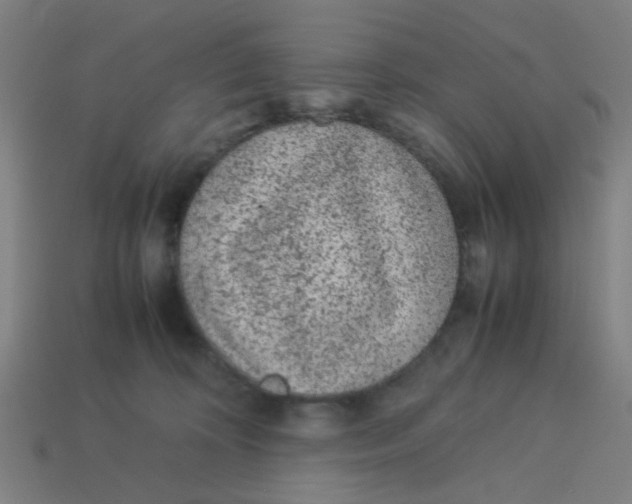 X0000113240324200910081303