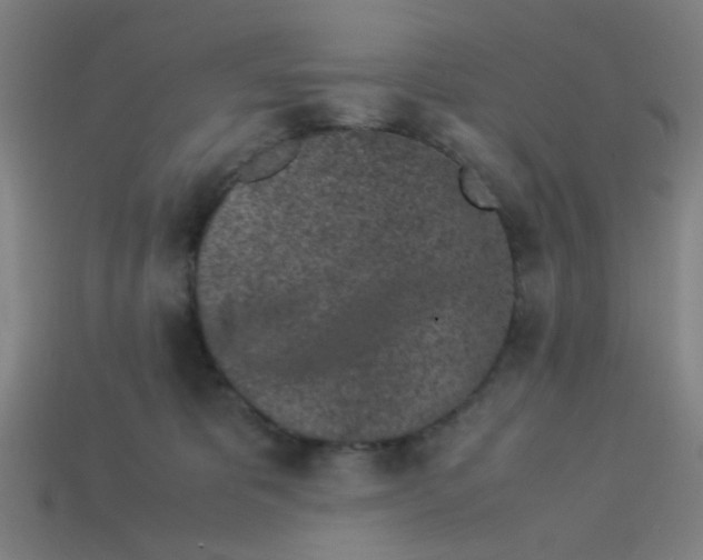 X0000113240325200910081303