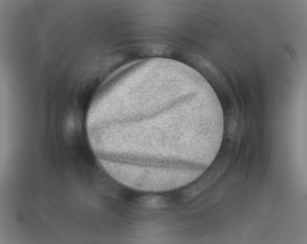 X0000113240326200910081303
