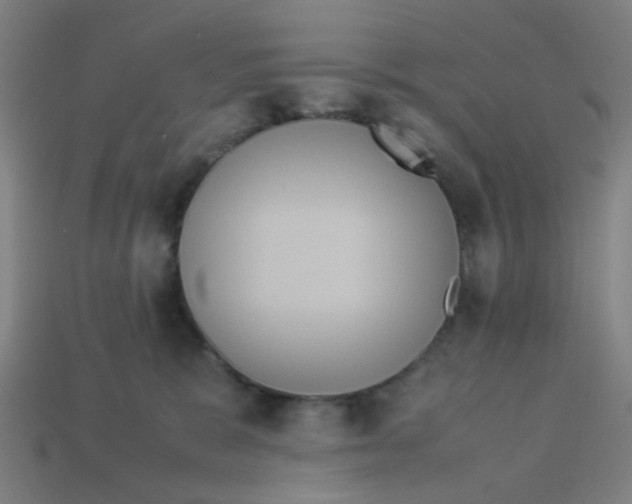X0000113240327200910081303